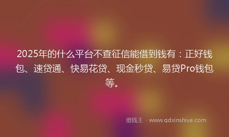 2025年的什么平台不查征信能借到钱有：正好钱包、速贷通、快易花贷、现金秒贷、易贷Pro钱包等。