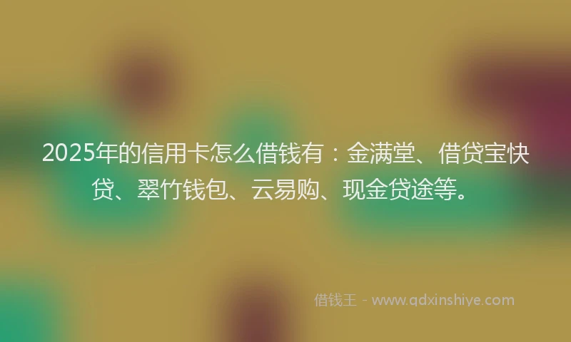 2025年的信用卡怎么借钱有：金满堂、借贷宝快贷、翠竹钱包、云易购、现金贷途等。