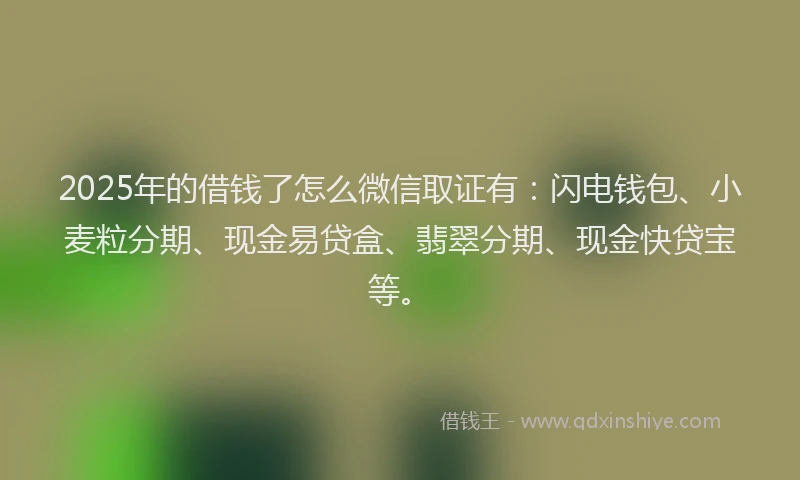2025年的借钱了怎么微信取证有：闪电钱包、小麦粒分期、现金易贷盒、翡翠分期、现金快贷宝等。
