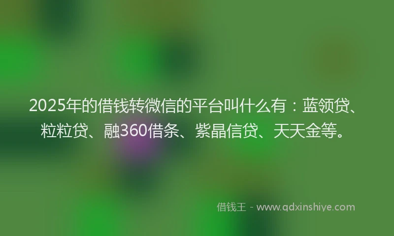 2025年的借钱转微信的平台叫什么有：蓝领贷、粒粒贷、融360借条、紫晶信贷、天天金等。