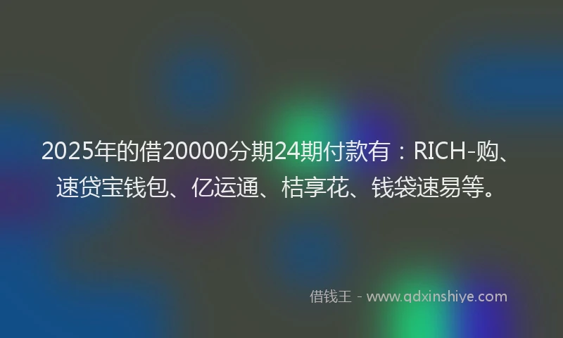 2025年的借20000分期24期付款有：RICH-购、速贷宝钱包、亿运通、桔享花、钱袋速易等。