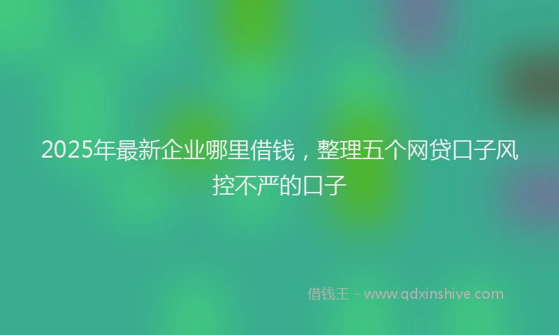 2025年最新企业哪里借钱，整理五个网贷口子风控不严的口子