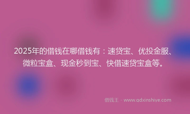 2025年的借钱在哪借钱有：速贷宝、优投金服、微粒宝盒、现金秒到宝、快借速贷宝盒等。
