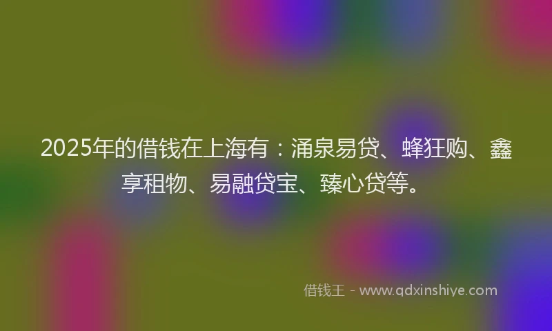 2025年的借钱在上海有：涌泉易贷、蜂狂购、鑫享租物、易融贷宝、臻心贷等。