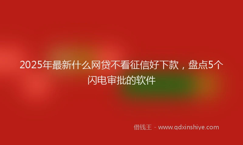 2025年最新什么网贷不看征信好下款，盘点5个闪电审批的软件