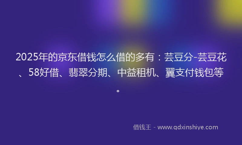 2025年的京东借钱怎么借的多有：芸豆分-芸豆花、58好借、翡翠分期、中益租机、翼支付钱包等。