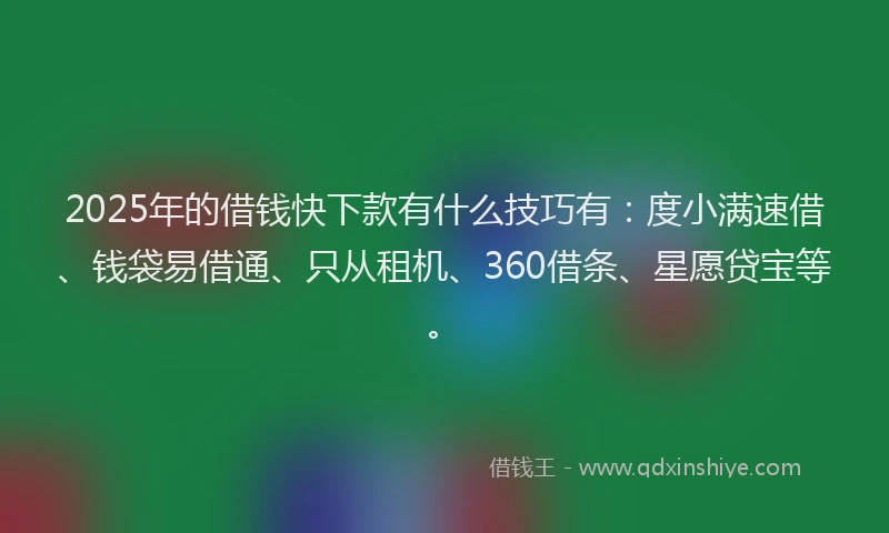 2025年的借钱快下款有什么技巧有：度小满速借、钱袋易借通、只从租机、360借条、星愿贷宝等。