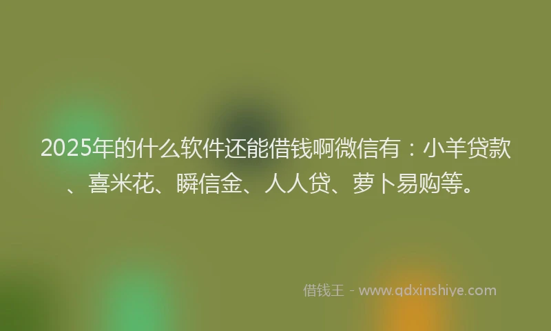 2025年的什么软件还能借钱啊微信有：小羊贷款、喜米花、瞬信金、人人贷、萝卜易购等。
