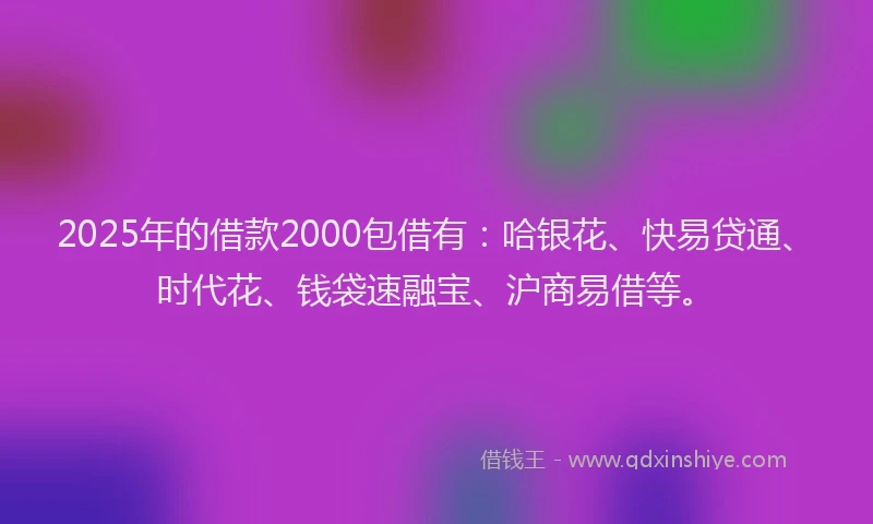 2025年的借款2000包借有：哈银花、快易贷通、时代花、钱袋速融宝、沪商易借等。