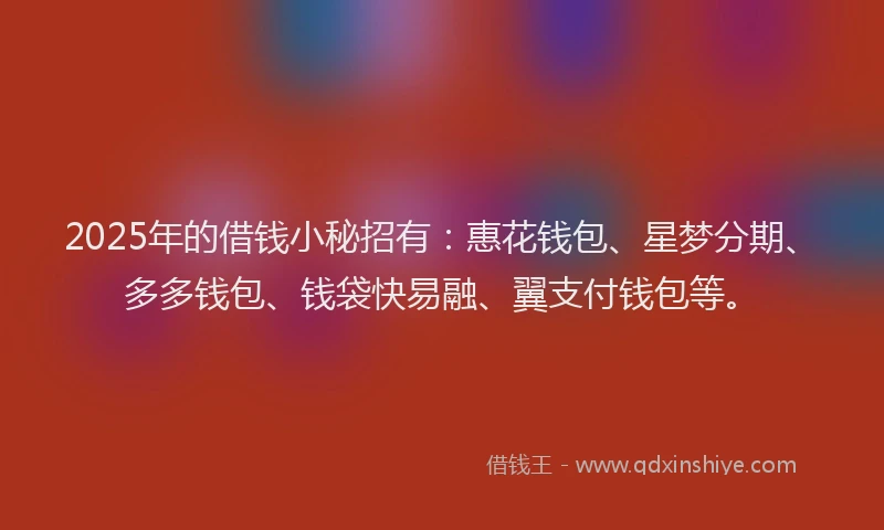 2025年的借钱小秘招有：惠花钱包、星梦分期、多多钱包、钱袋快易融、翼支付钱包等。