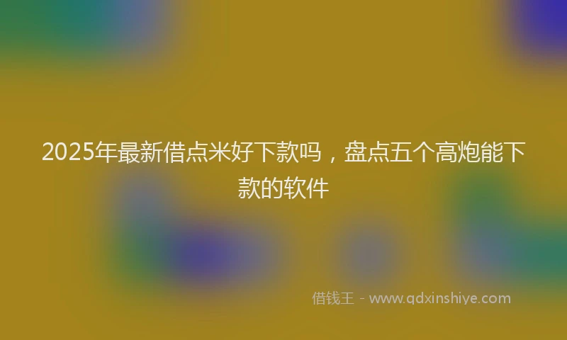 2025年最新借点米好下款吗，盘点五个高炮能下款的软件