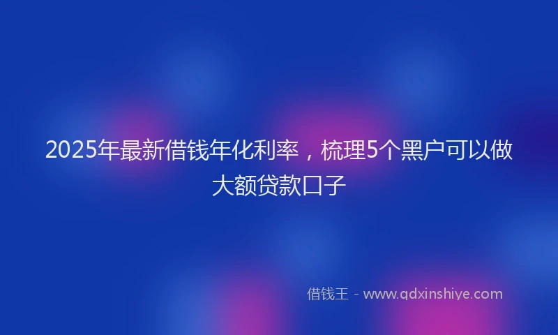 2025年最新借钱年化利率，梳理5个黑户可以做大额贷款口子