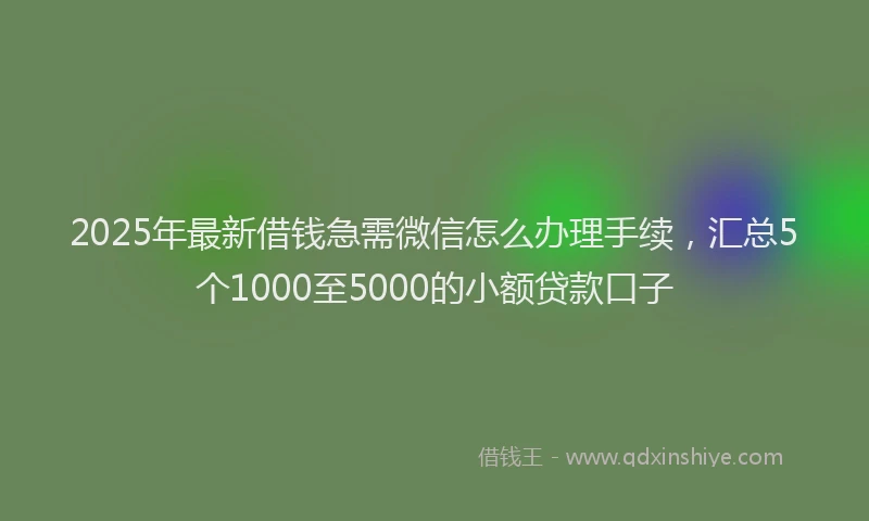 2025年最新借钱急需微信怎么办理手续，汇总5个1000至5000的小额贷款口子