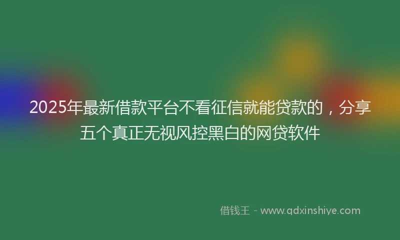 2025年最新借款平台不看征信就能贷款的，分享五个真正无视风控黑白的网贷软件
