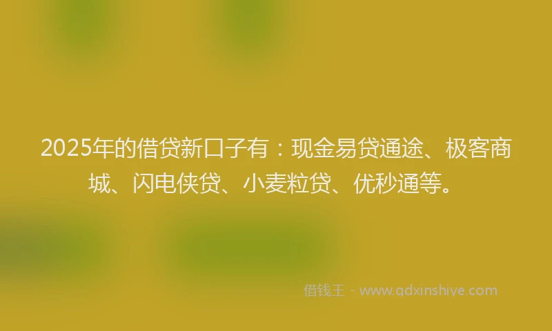 2025年的借贷新口子有：现金易贷通途、极客商城、闪电侠贷、小麦粒贷、优秒通等。