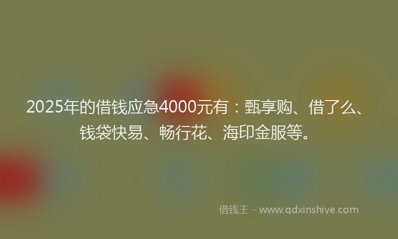 2025年的借钱应急4000元有：甄享购、借了么、钱袋快易、畅行花、海印金服等。