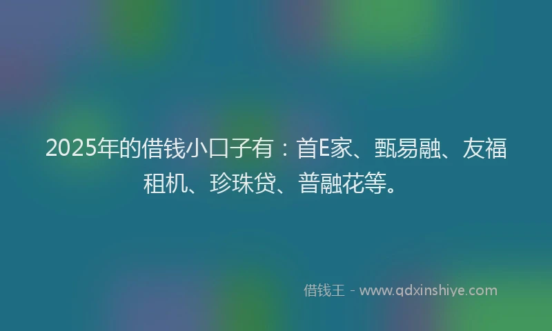 2025年的借钱小口子有：首E家、甄易融、友福租机、珍珠贷、普融花等。