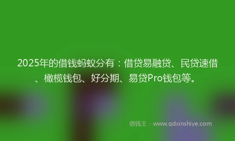 2025年的借钱蚂蚁分有：借贷易融贷、民贷速借、橄榄钱包、好分期、易贷Pro钱包等。