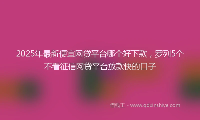 2025年最新便宜网贷平台哪个好下款，罗列5个不看征信网贷平台放款快的口子