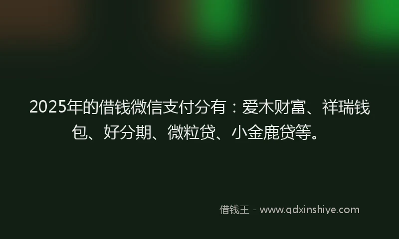 2025年的借钱微信支付分有：爱木财富、祥瑞钱包、好分期、微粒贷、小金鹿贷等。