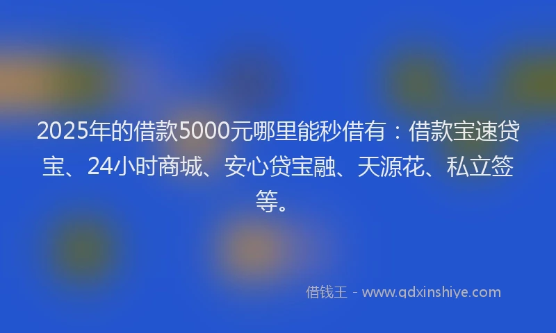 2025年的借款5000元哪里能秒借有：借款宝速贷宝、24小时商城、安心贷宝融、天源花、私立签等。