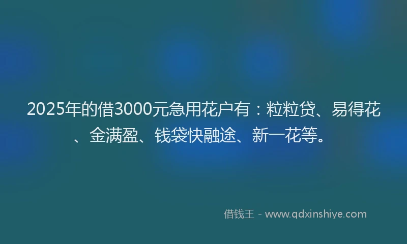 2025年的借3000元急用花户有：粒粒贷、易得花、金满盈、钱袋快融途、新一花等。