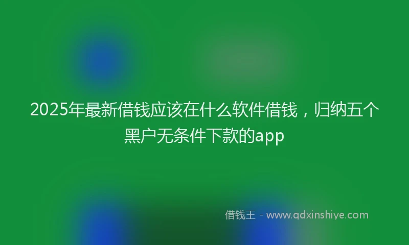 2025年最新借钱应该在什么软件借钱，归纳五个黑户无条件下款的app