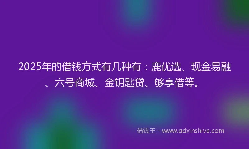 2025年的借钱方式有几种有：鹿优选、现金易融、六号商城、金钥匙贷、够享借等。