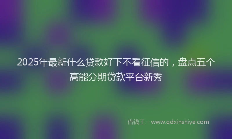 2025年最新什么贷款好下不看征信的，盘点五个高能分期贷款平台新秀