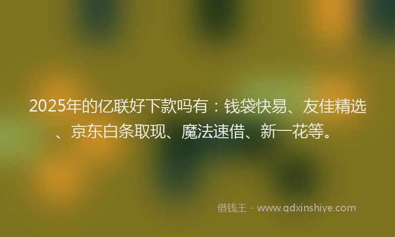2025年的亿联好下款吗有：钱袋快易、友佳精选、京东白条取现、魔法速借、新一花等。