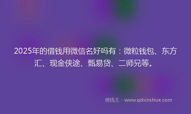 2025年的借钱用微信名好吗有：微粒钱包、东方汇、现金侠途、甄易贷、二师兄等。