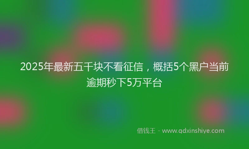 2025年最新五千块不看征信，概括5个黑户当前逾期秒下5万平台