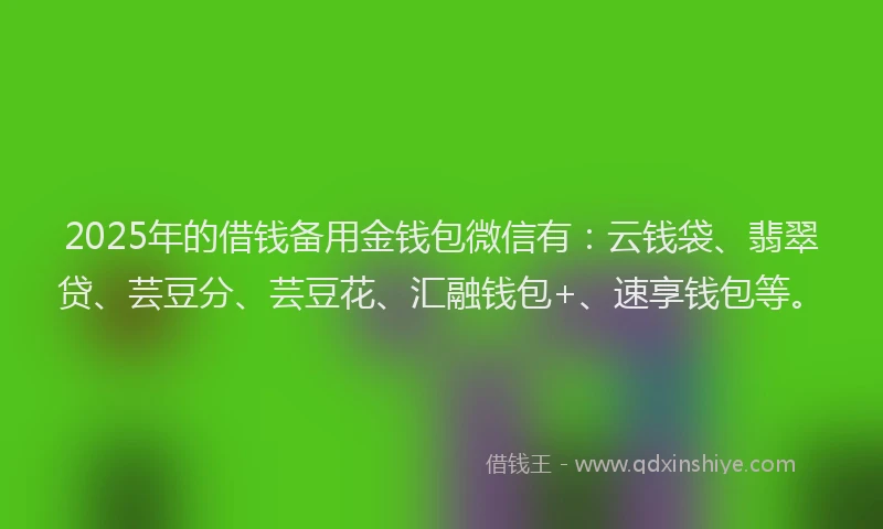 2025年的借钱备用金钱包微信有：云钱袋、翡翠贷、芸豆分、芸豆花、汇融钱包+、速享钱包等。