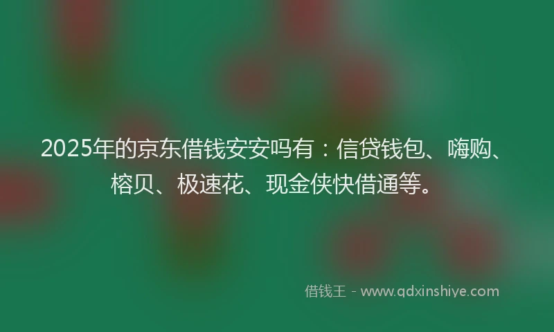 2025年的京东借钱安安吗有：信贷钱包、嗨购、榕贝、极速花、现金侠快借通等。