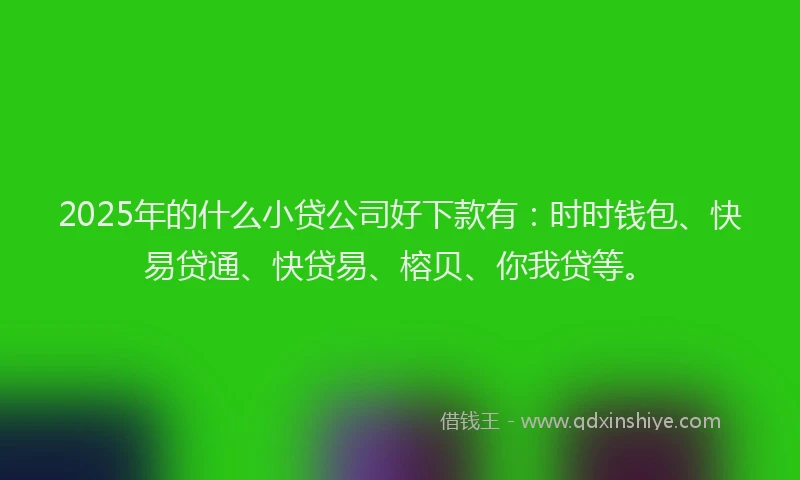 2025年的什么小贷公司好下款有：时时钱包、快易贷通、快贷易、榕贝、你我贷等。