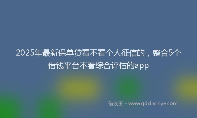 2025年最新保单贷看不看个人征信的，整合5个借钱平台不看综合评估的app