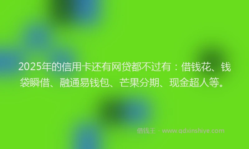 2025年的信用卡还有网贷都不过有：借钱花、钱袋瞬借、融通易钱包、芒果分期、现金超人等。