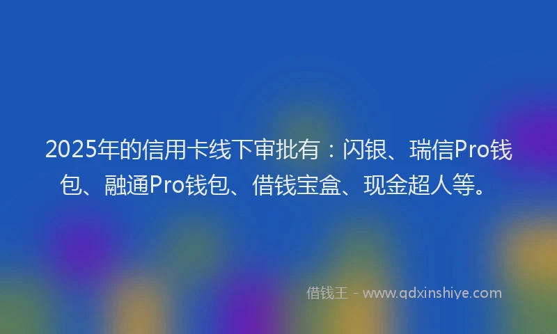 2025年的信用卡线下审批有：闪银、瑞信Pro钱包、融通Pro钱包、借钱宝盒、现金超人等。