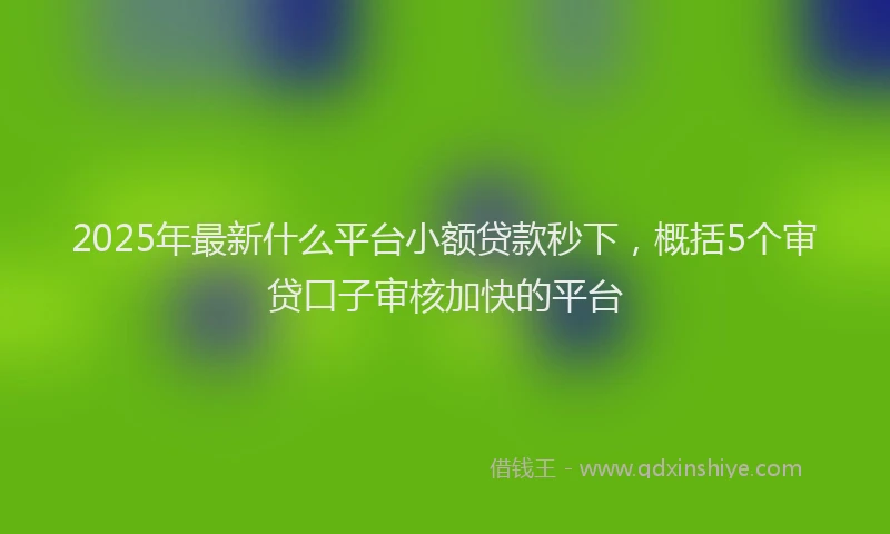 2025年最新什么平台小额贷款秒下，概括5个审贷口子审核加快的平台