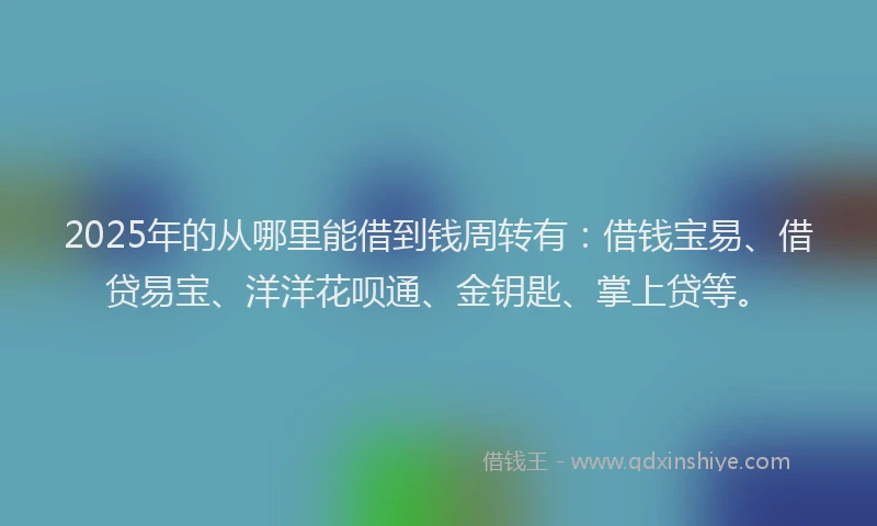 2025年的从哪里能借到钱周转有：借钱宝易、借贷易宝、洋洋花呗通、金钥匙、掌上贷等。