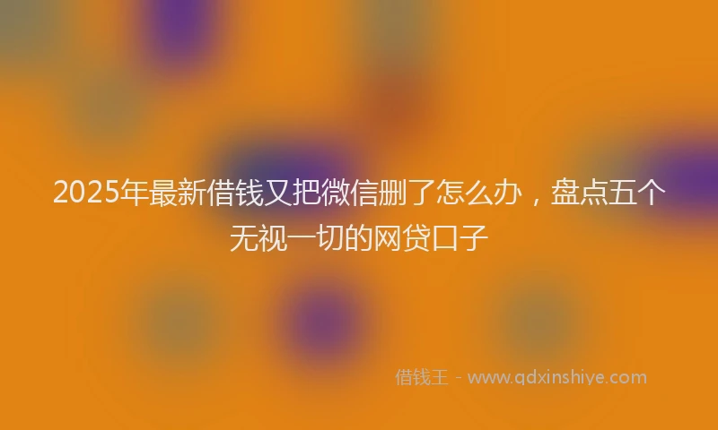 2025年最新借钱又把微信删了怎么办，盘点五个无视一切的网贷口子