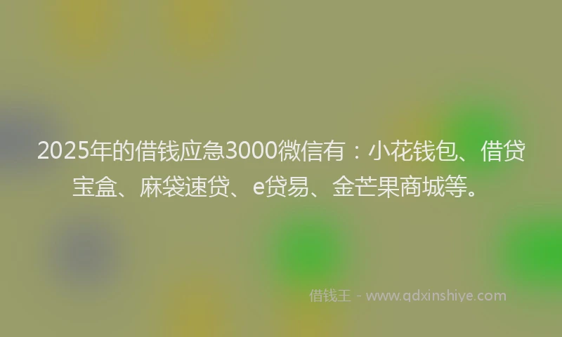 2025年的借钱应急3000微信有：小花钱包、借贷宝盒、麻袋速贷、e贷易、金芒果商城等。