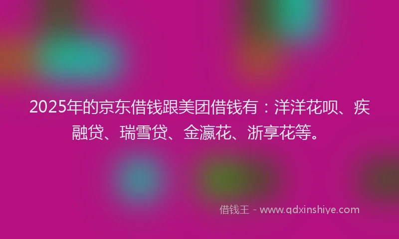 2025年的京东借钱跟美团借钱有：洋洋花呗、疾融贷、瑞雪贷、金瀛花、浙享花等。