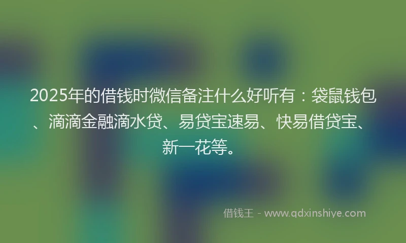2025年的借钱时微信备注什么好听有：袋鼠钱包、滴滴金融滴水贷、易贷宝速易、快易借贷宝、新一花等。