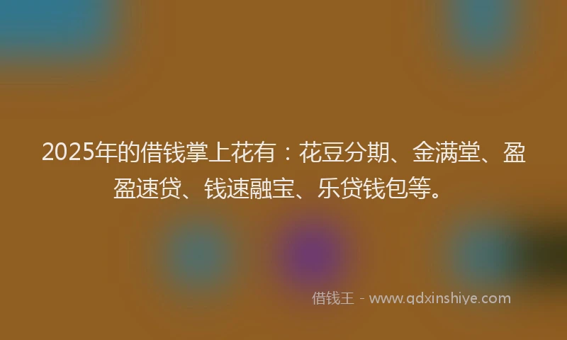 2025年的借钱掌上花有：花豆分期、金满堂、盈盈速贷、钱速融宝、乐贷钱包等。