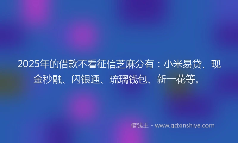2025年的借款不看征信芝麻分有：小米易贷、现金秒融、闪银通、琉璃钱包、新一花等。