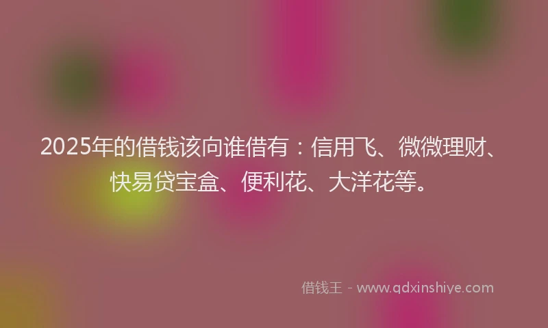 2025年的借钱该向谁借有：信用飞、微微理财、快易贷宝盒、便利花、大洋花等。