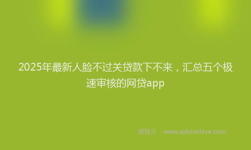 2025年最新人脸不过关贷款下不来，汇总五个极速审核的网贷app
