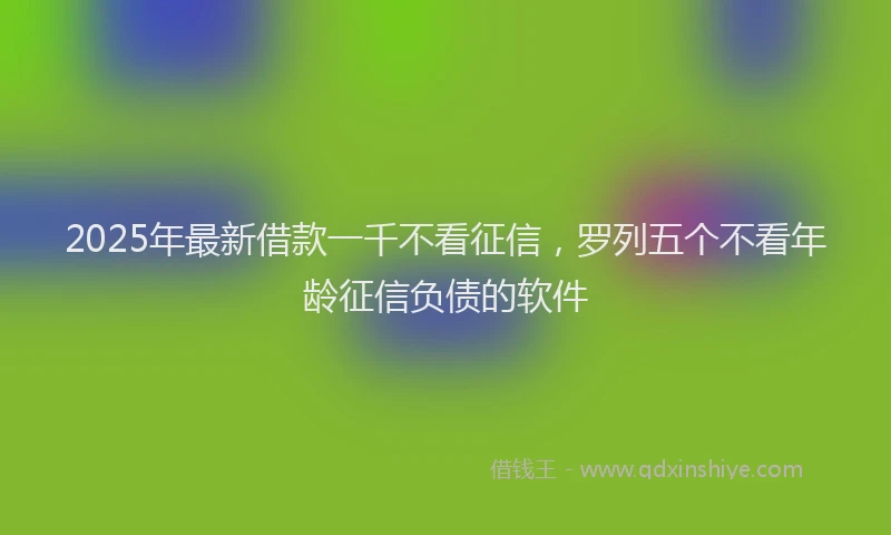2025年最新借款一千不看征信，罗列五个不看年龄征信负债的软件