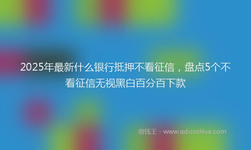 2025年最新什么银行抵押不看征信，盘点5个不看征信无视黑白百分百下款